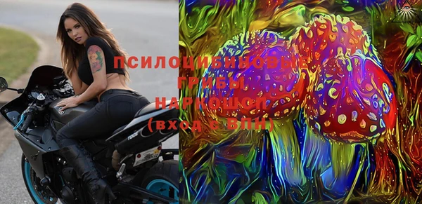 гидропоника Медногорск