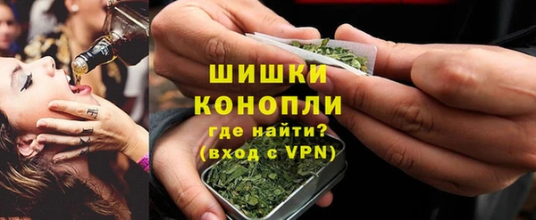 гидропоника Медногорск