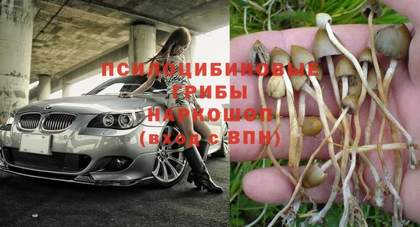 гидропоника Медногорск